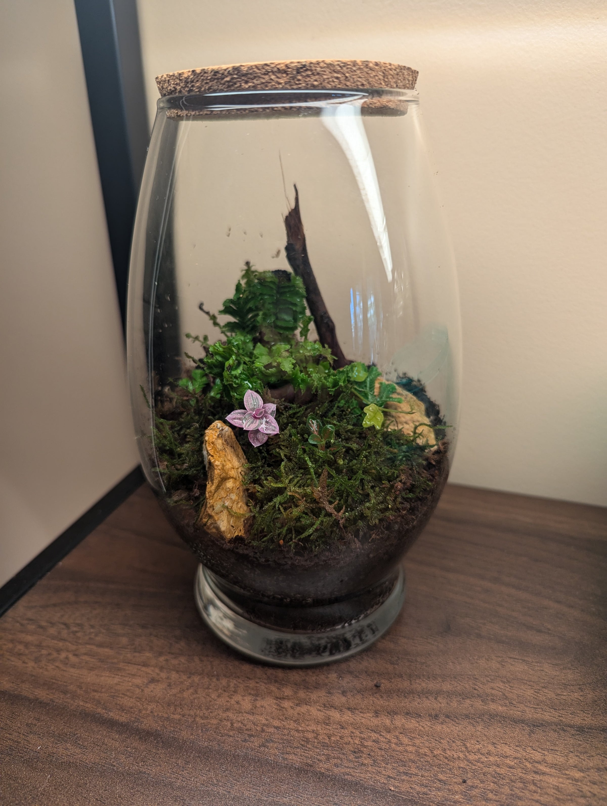 WK - Terrarium Garden Workshop - November 16th | The Potting Shed