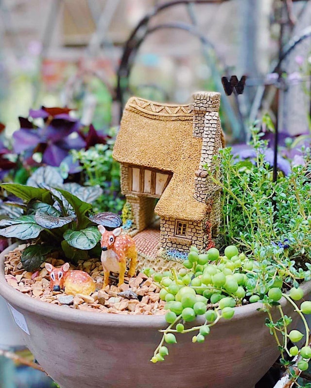 The Potting Shed by Carlisle