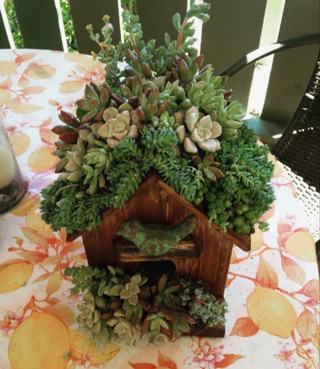 WK Succulent Birdhouse August 13th The Potting Shed by