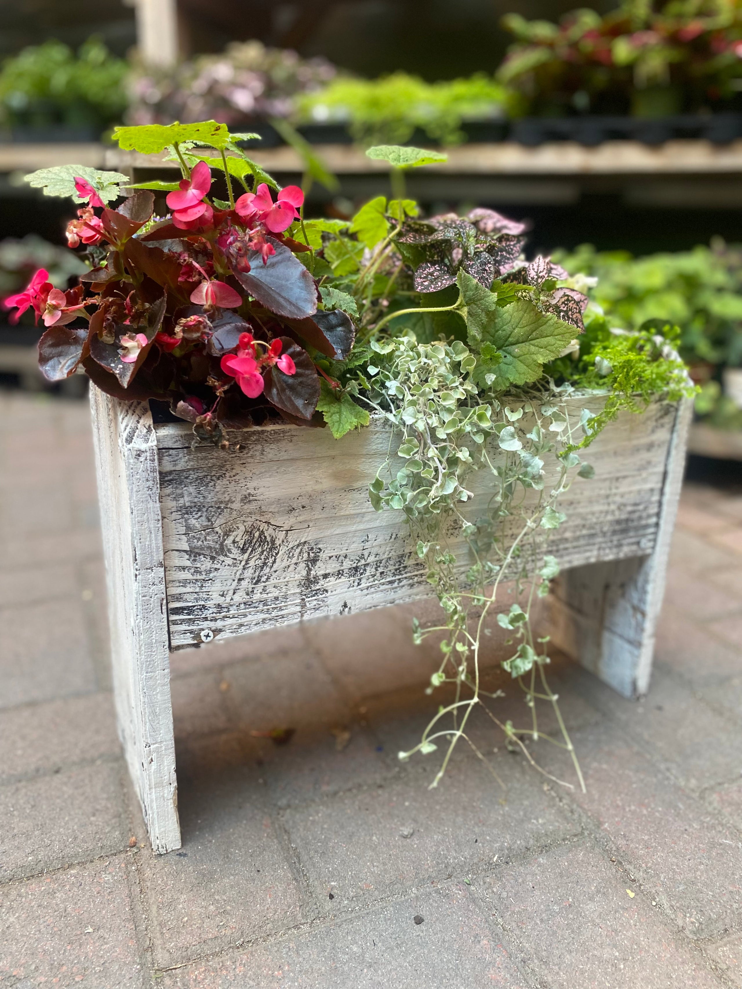 WK Rustic Planter Box September 10th The Potting Shed by